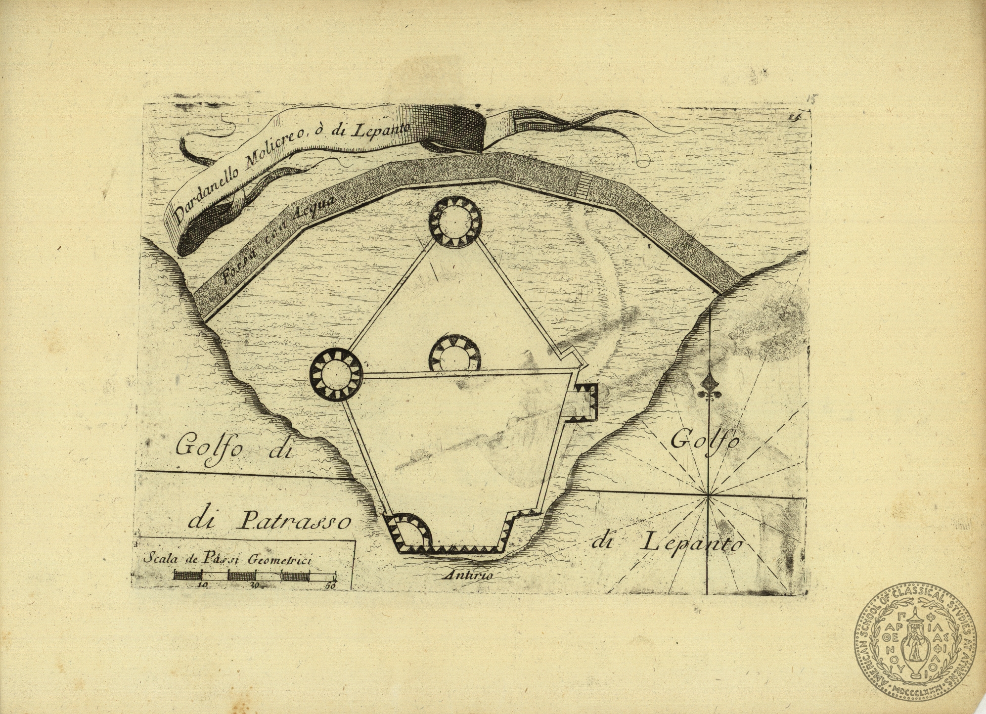 Dardanello molioreo o di Lepanto